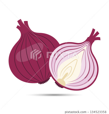 Whole and half sliced red onion vegetable. Fresh organic food cooking ingredient vector illustration Whole and half sliced red onion vegetable. Fresh organic food cooking ingredient vector illustration 134523358