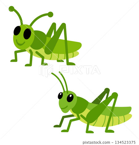 Cute green grasshopper insect character. Funny cartoon bug mascot vector illustration 134523375