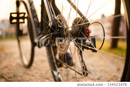 Rear Wheel Of Mountain Bike At Sunset 134523476