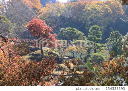 東京、六義園、妹山、瀨山、玉藻磯地區 東京、六義園、妹山、瀨山、玉藻磯地區 134523693