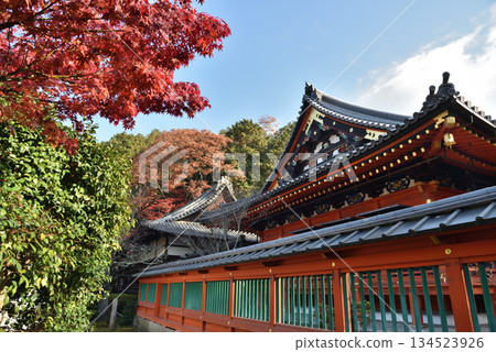 Bishamon-do Hall in autumn: Main hall and maple trees (Yamashina Ward, Kyoto City) 134523926