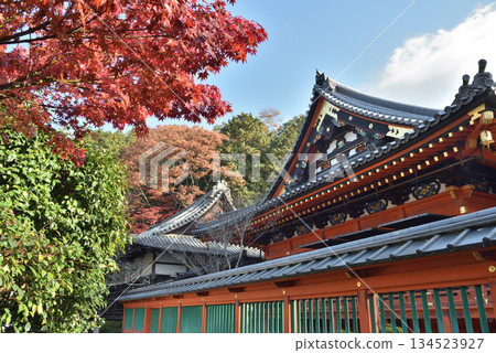 Bishamon-do Hall in autumn: Main hall and maple trees (Yamashina Ward, Kyoto City) 134523927