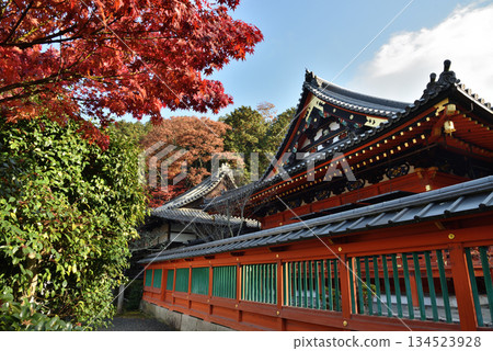 Bishamon-do Hall in autumn: Main hall and maple trees (Yamashina Ward, Kyoto City) 134523928