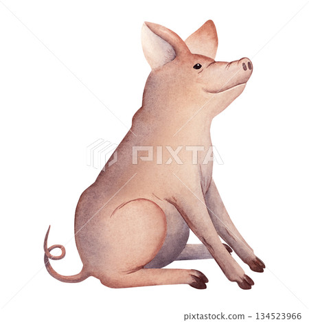 Watercolor hand painted illustration of a sitting farm piglet, perfect for children projects, educational materials, nursery decor, farm-themed designs, and print products 134523966