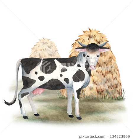 Watercolor composition of a cow standing near tall haystacks, ideal for children materials, educational projects, farm themed designs, packaging, rustic decor. Hand painted with natural soft textures 134523969
