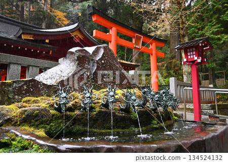 Autumn rain falls at Kuzuryu Shrine Shingu in Hakone, Kanagawa Prefecture 134524132