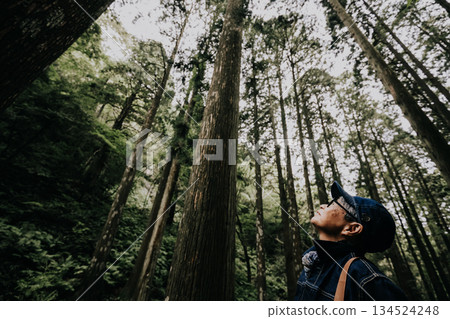 A woman looking up at a forest lined with giant trees A woman looking up at a forest lined with giant trees 134524248
