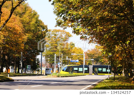 宇都宮輕軌 134524257