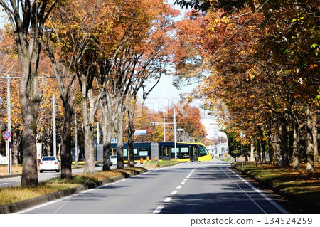 宇都宮輕軌 宇都宮輕軌 134524259