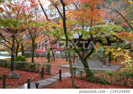 京都府京都市左京區禪林寺永觀堂的秋景 京都府京都市左京區禪林寺永觀堂的秋景 134524409