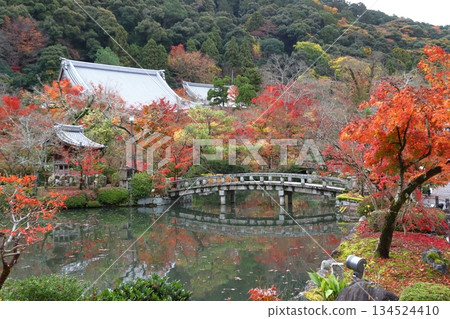 京都府京都市左京區禪林寺永觀堂的秋景 京都府京都市左京區禪林寺永觀堂的秋景 134524410