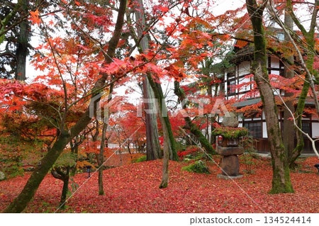 Autumn at Eikando Hall of Zenrinji Temple (Sakyo Ward, Kyoto City, Kyoto Prefecture) Autumn at Eikando Hall of Zenrinji Temple (Sakyo Ward, Kyoto City, Kyoto Prefecture) 134524414
