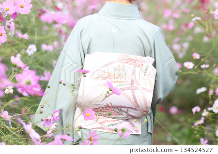 A woman in a kimono walking through a cosmos field A woman in a kimono walking through a cosmos field 134524527