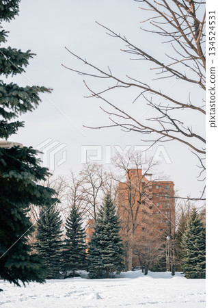 Snowy Winter Scenery of Nakajima Park in Sapporo, Hokkaido, Japan 134524531