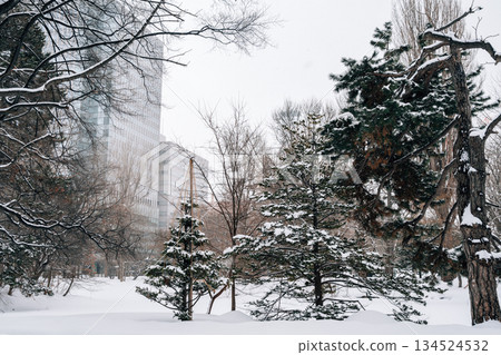 Snowy Winter Scenery of Hokkaido Government Office Garden in Sapporo, Japan Snowy Winter Scenery of Hokkaido Government Office Garden in Sapporo, Japan 134524532