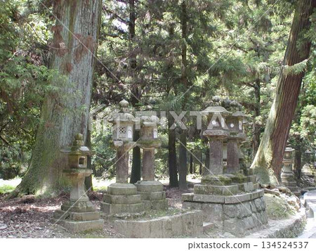 World Heritage Site | Nara | Kasugayama Primeval Forest, where nature and history coexist 134524537