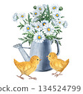 Watercolor composition of two chicks near a watering can with blooming flowers, perfect for Easter designs, childrens decor, greeting cards, packaging, spring themed projects. Hand painted 134524799