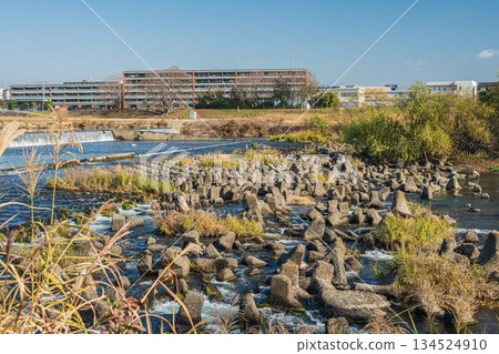 京都桂川冬季水壩景色 京都桂川冬季水壩景色 134524910