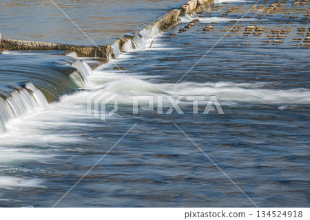京都市桂川堰 134524918