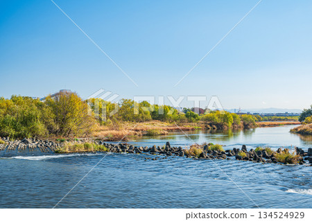 京都桂川的冬季景色 134524929