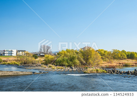 京都桂川的冬季景色 134524933