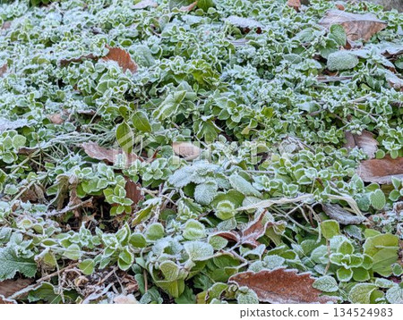 零下工廠 134524983