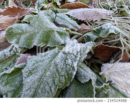 零下工廠 134524986