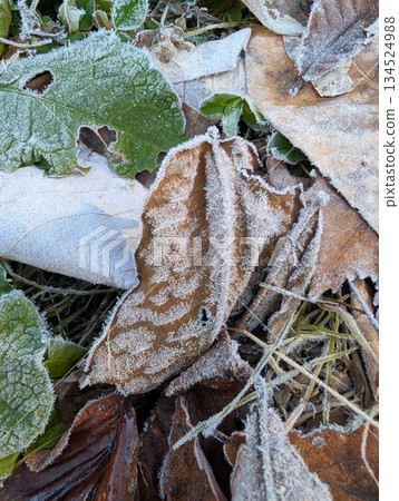 零下工廠 134524988