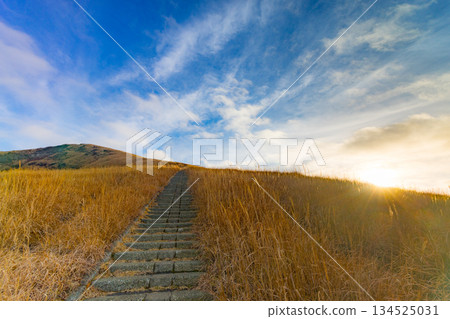 清晨的陽光灑在岸邊的岸島山上，金色的草地和健行步道盡收眼底。 134525031