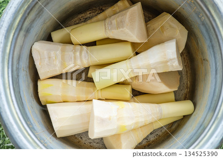 Freshly peeled bamboo shoots stacked in cooking pot 134525390
