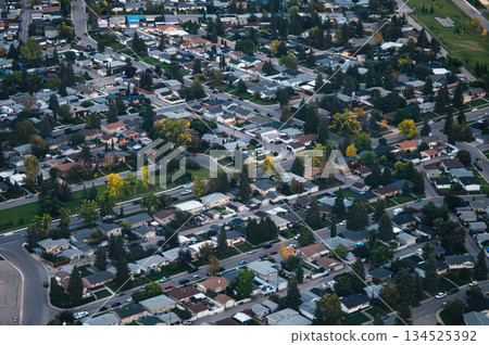 Above of suburban residential housing neighborhood with trees lined street, houses and park 134525392