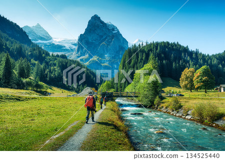 Tourists walking along the river with Rosenlaui mountain peak in lush forest at Bernese Alps, Switzerland Tourists walking along the river with Rosenlaui mountain peak in lush forest at Bernese Alps, Switzerland 134525440