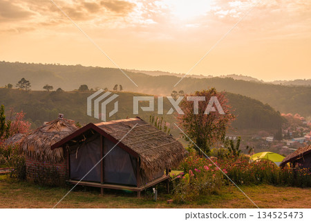 Scenic camping hut surrounded by flower blooming and mountain valley at golden sunset Scenic camping hut surrounded by flower blooming and mountain valley at golden sunset 134525473