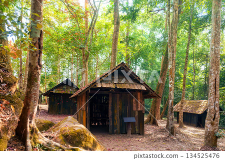 Weathered wooden hut with red maple leaves in tropical rainforest at national park 134525476