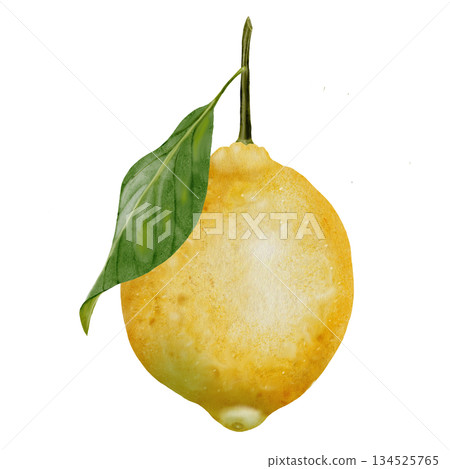 Lemon watercolor drawing. Hand drawn tropical sour fruit. Clip art of juicy yellow lime. Citrus on isolated white background. Ideal for logo and packaging of natural cosmetics, household chemicals and Lemon watercolor drawing. Hand drawn tropical sour fruit. Clip art of juicy yellow lime. Citrus on isolated white background. Ideal for logo and packaging of natural cosmetics, household chemicals and 134525765