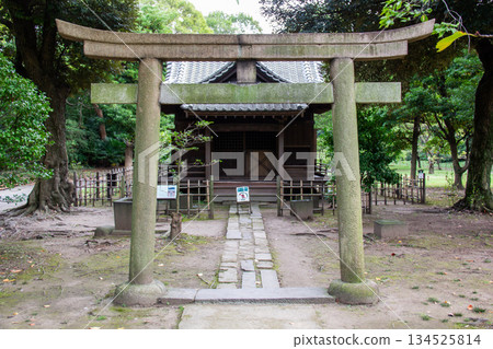 Torii gate and shrine building in Hamarikyu Gardens A tranquil shrine scene nestled in a Japanese garden Torii gate and shrine building in Hamarikyu Gardens A tranquil shrine scene nestled in a Japanese garden 134525814
