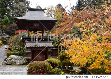 栃木縣雲巖寺的鐘樓和秋葉 栃木縣雲巖寺的鐘樓和秋葉 134525846