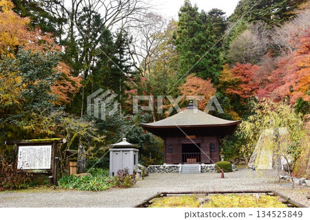 栃木縣雲巖寺庭院與秋葉 栃木縣雲巖寺庭院與秋葉 134525849