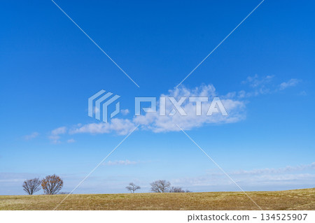 Winter sky, clouds and grassland Winter sky, clouds and grassland 134525907