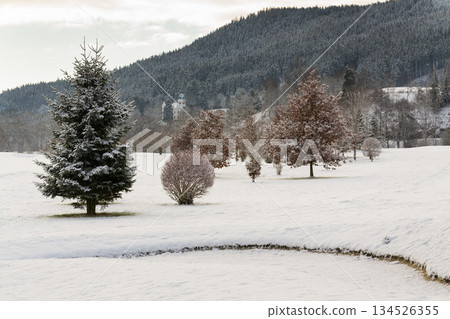 Snow on golf course landscape in winter with forest in background, copy space 134526355