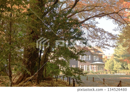 Former Furukawa Garden Western-style building Former Furukawa Garden Western-style building 134526480