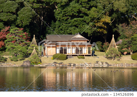 濱離宮庭園的池塘與茶室,秋葉與寧靜的日式庭園 2(特寫) 濱離宮庭園的池塘與茶室,秋葉與寧靜的日式庭園 2(特寫) 134526896