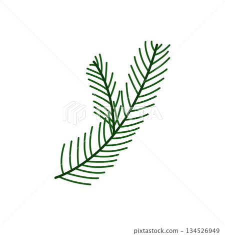 Minimal pine branch illustration for nature branding, eco packaging, botanical designs 134526949