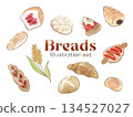 Watercolor vector freshly baked bread illustration set 134527027