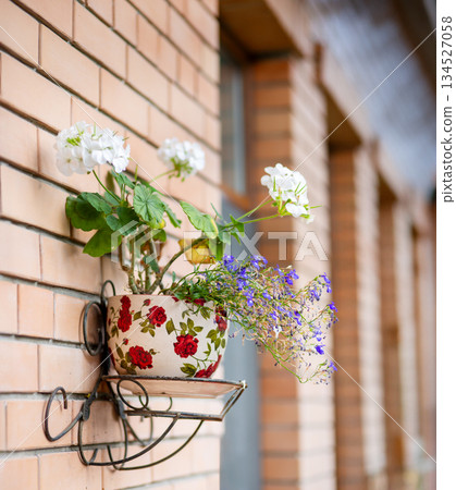 Flower Pot with Red Roses and White Geraniums on Wall. Floral ceramic pot with red roses and white geraniums hangs 134527058