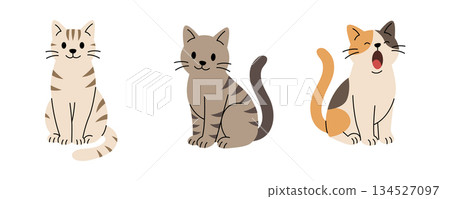 Set of three cartoon cats sitting and yawning. Flat vector illustrations of cute striped and calico felines 134527097