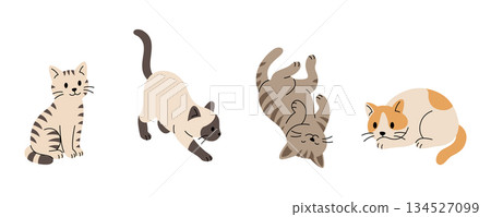 Set of four cartoon cats. Flat vector illustration of playful and relaxed feline pets 134527099
