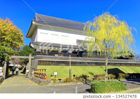 [Kyoto Prefecture] Shoryuji Castle Park on a clear day 134527478