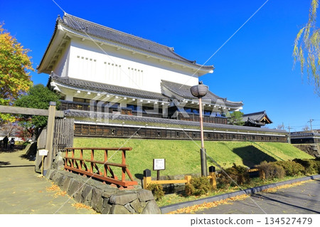 [Kyoto Prefecture] Shoryuji Castle Park on a clear day 134527479