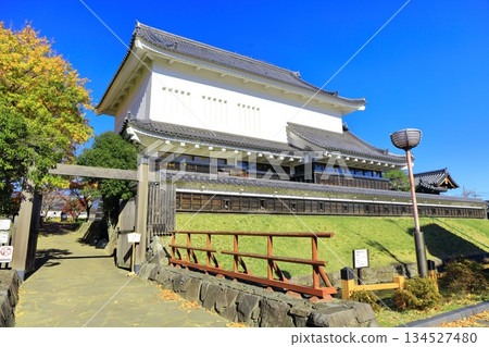[Kyoto Prefecture] Shoryuji Castle Park on a clear day 134527480